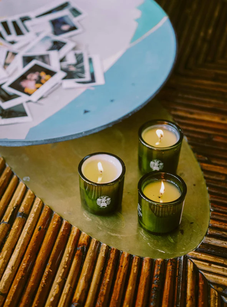 Flamingo Estate Douglas Fir & Ancient Vetiver Candle