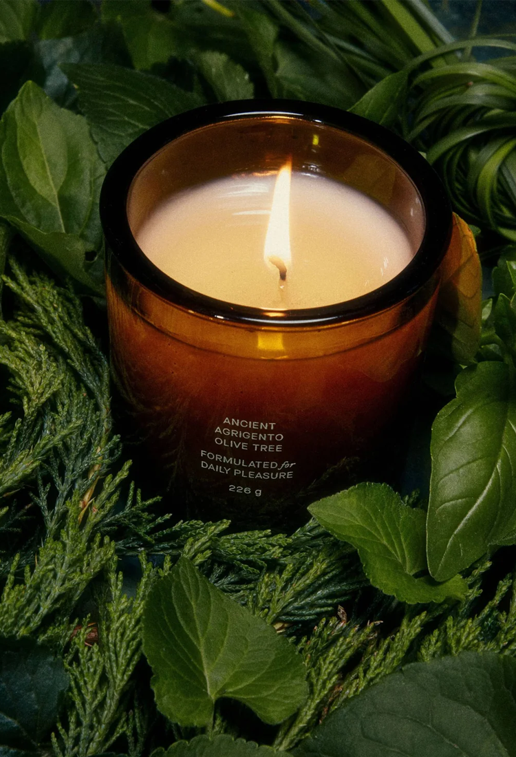 Flamingo Estate Ancient Agrigento Olive Tree Candle