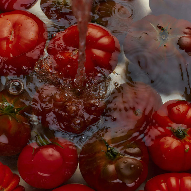 Flamingo Estate Roma Heirloom Tomato Room Spray