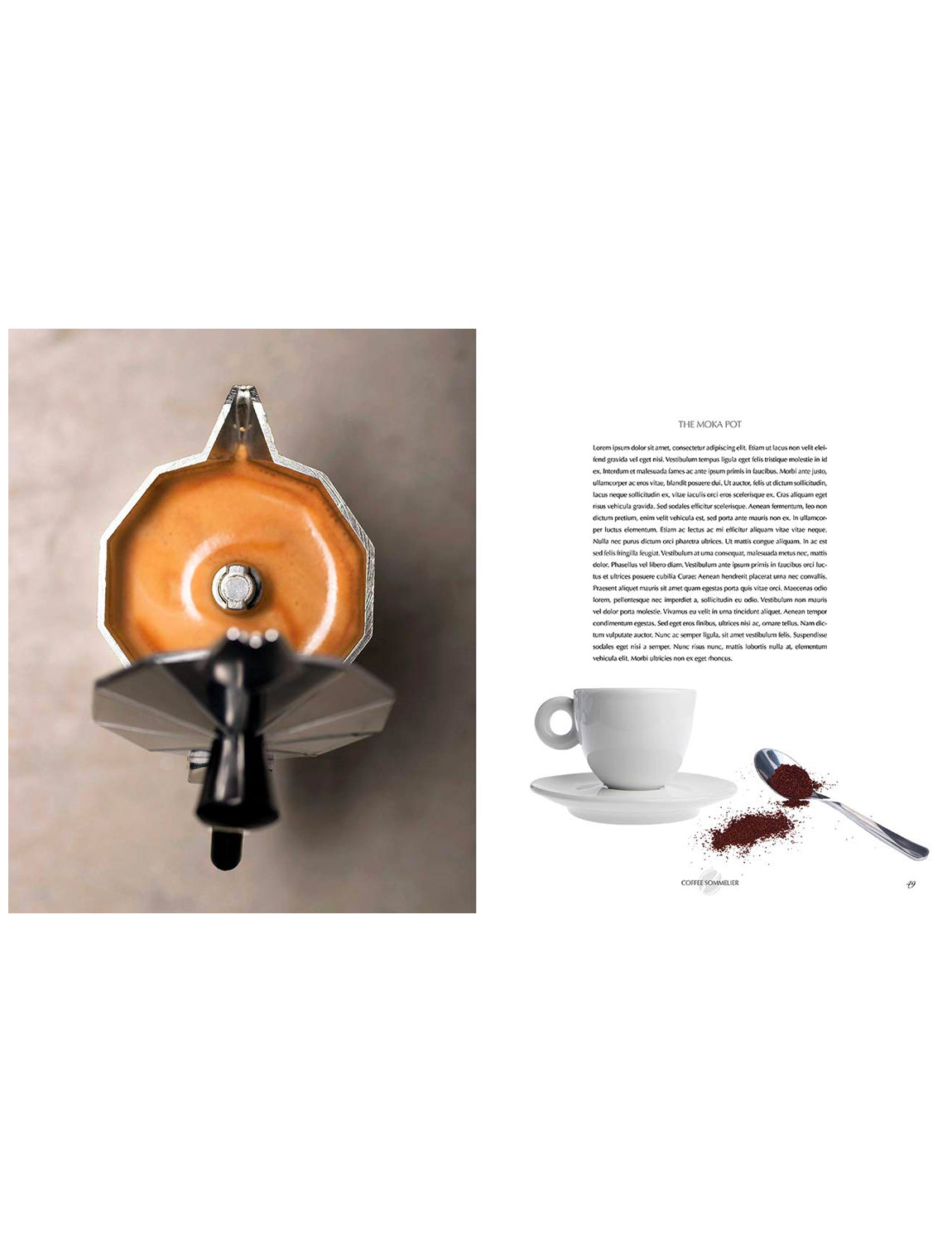 Coffee Sommelier