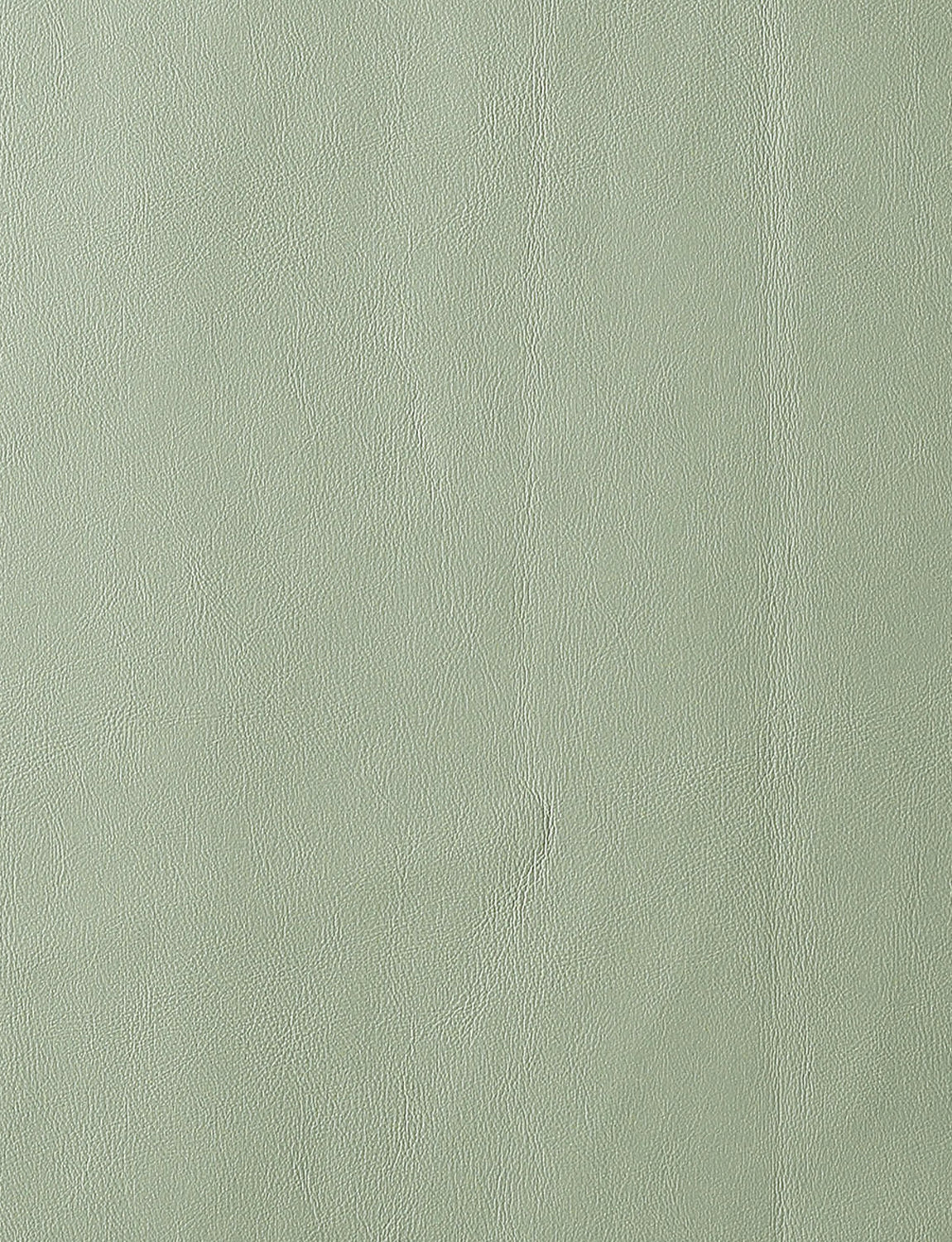 #color_seafoam green