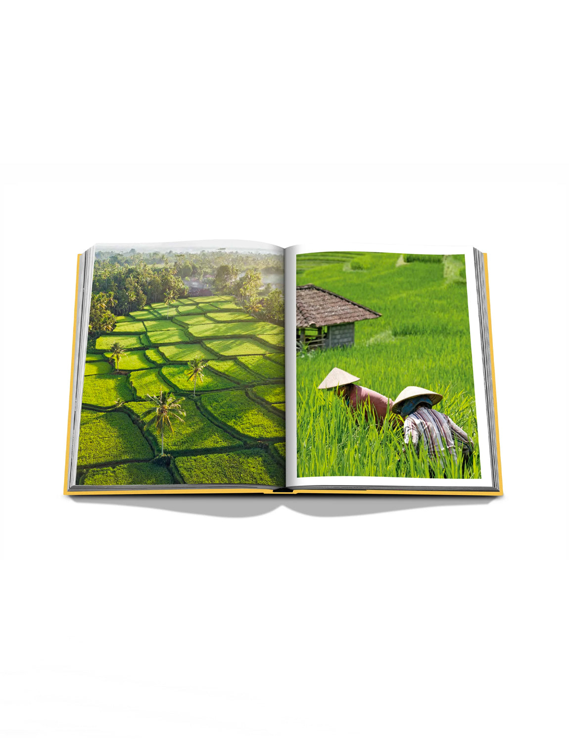Bali Mystique