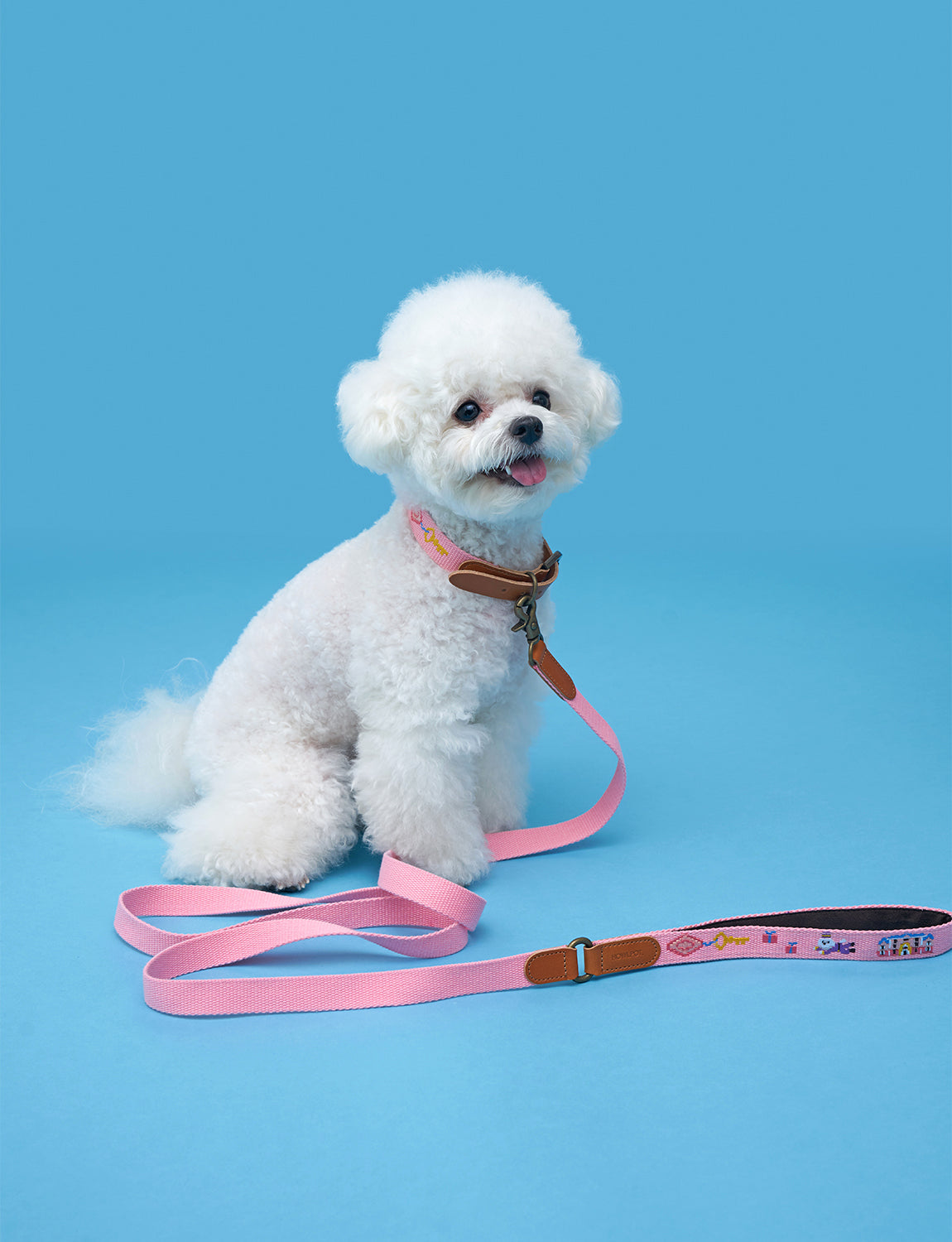 Adventure Dog Collar, budapest