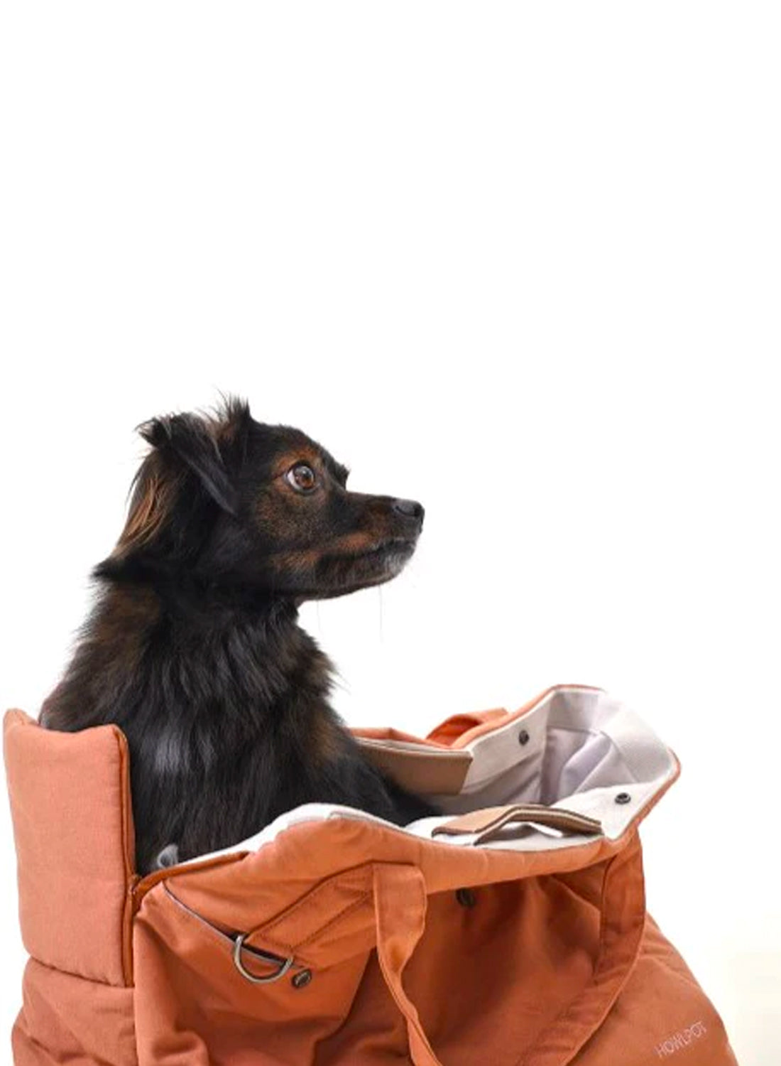 Day Bag, Maple