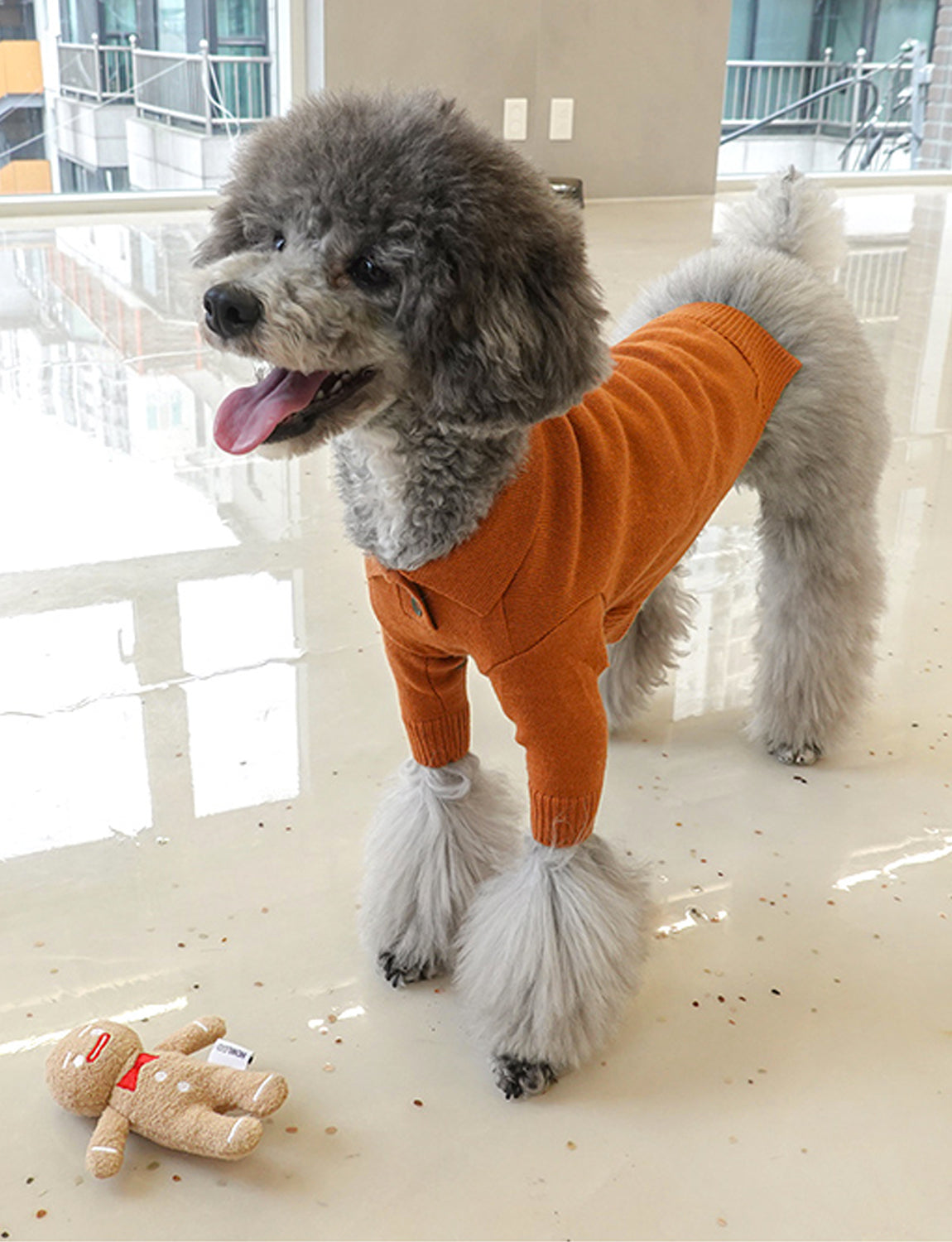 X-Mas Ginger Cookie Dog Toy