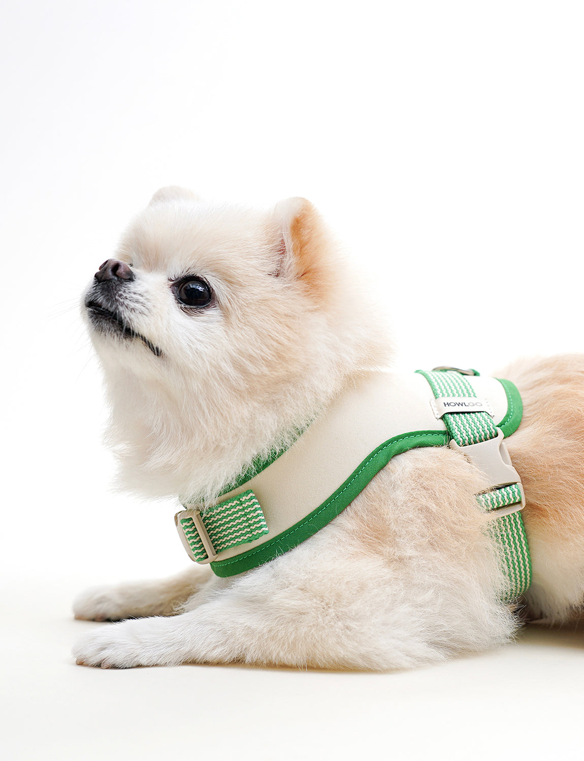 HowlGo Wear Harness, Green