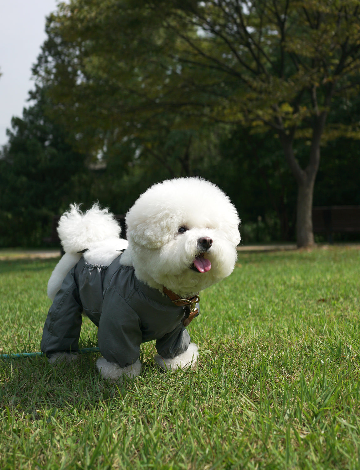 Walking Suit, khaki