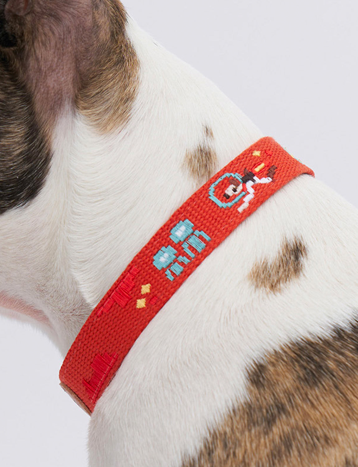 Adventure Dog Collar, mars