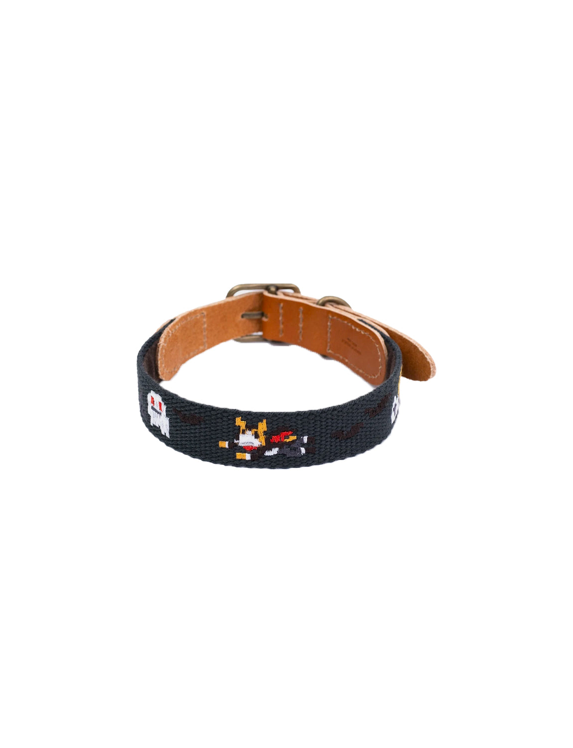 Adventure Dog Collar, gotham