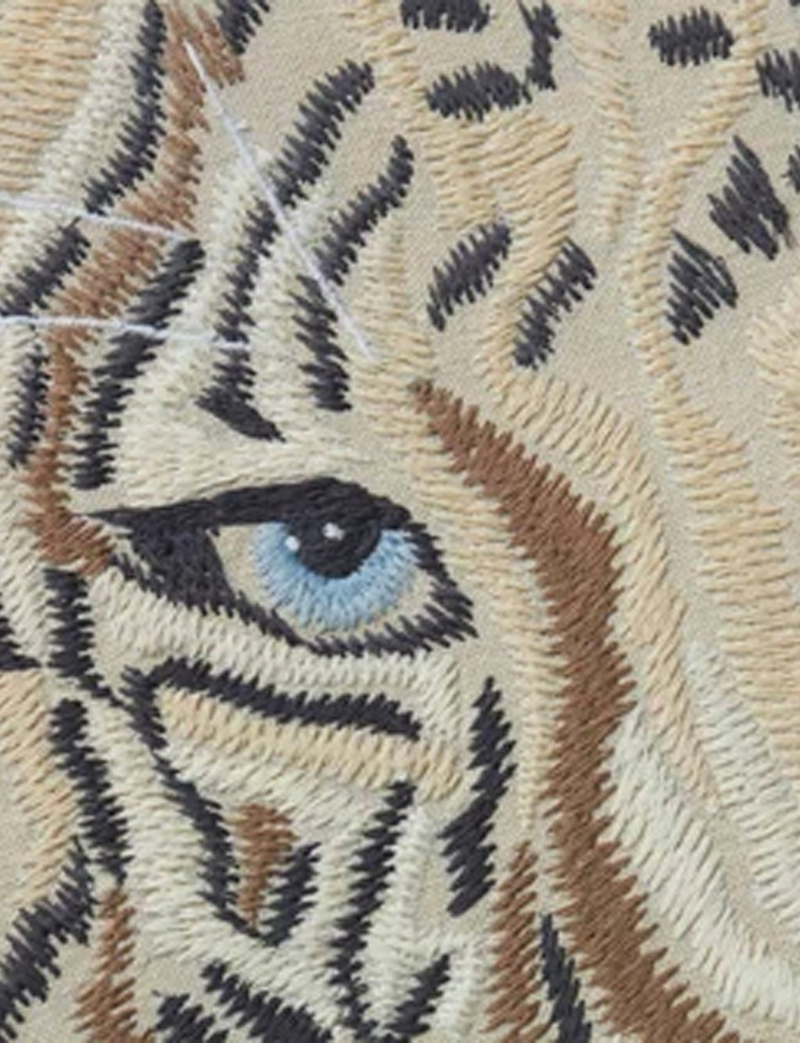 Tiger Wall Art