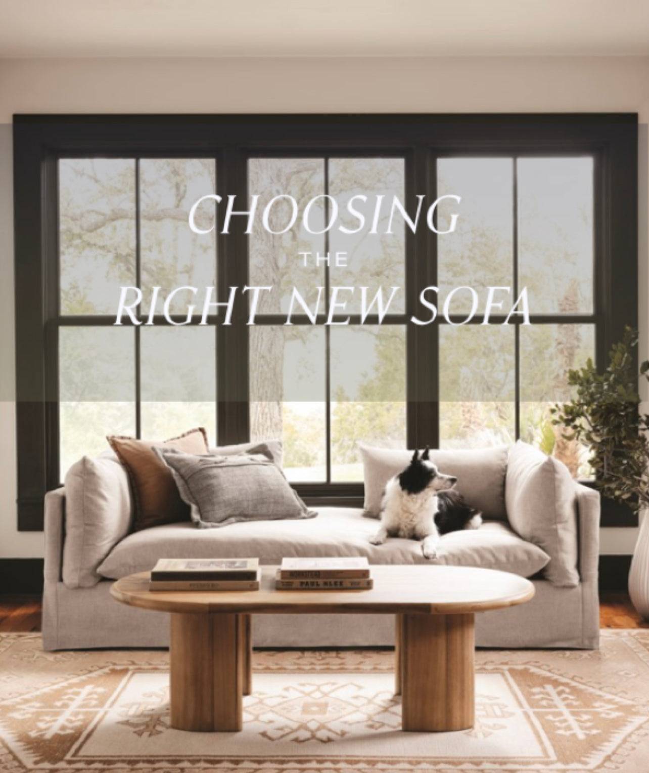 Choosing The Right New Sofa