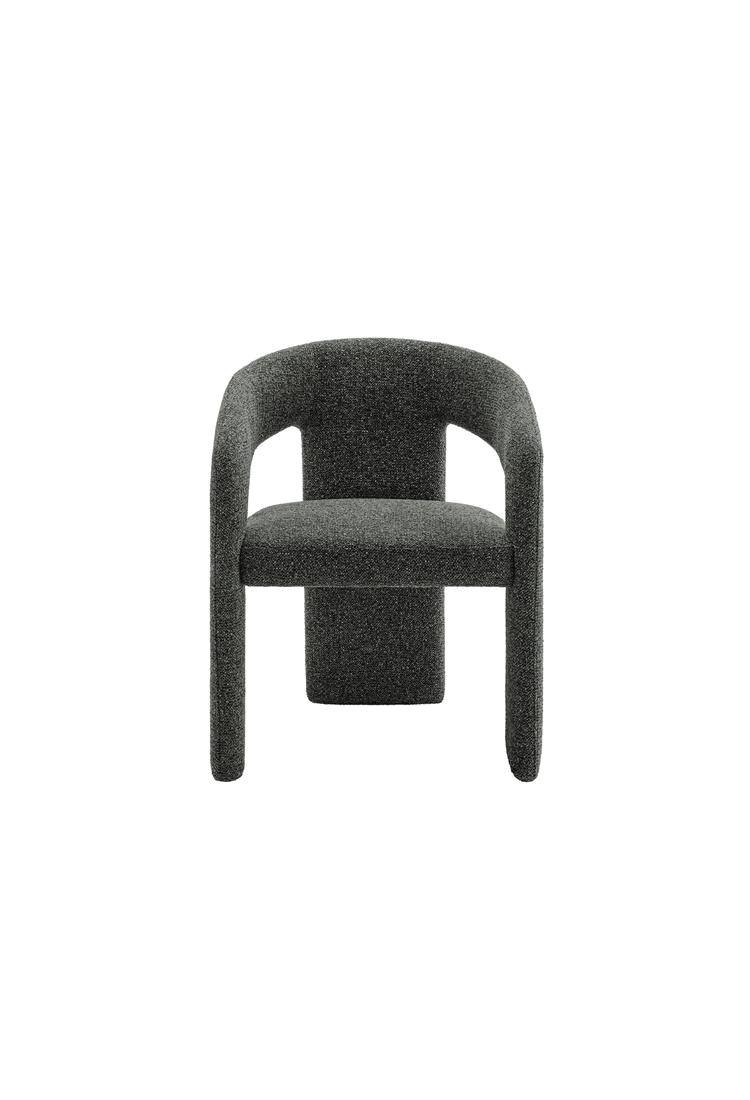 Elyssia Fabric Dining Chair,Anthracite