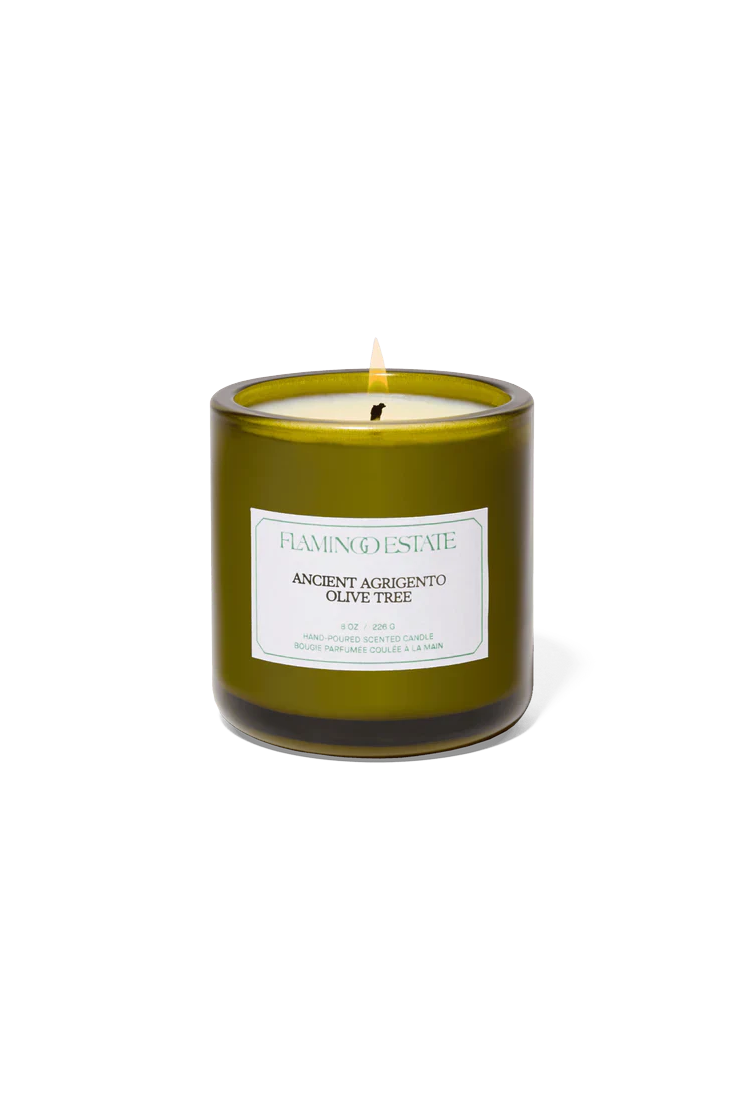 Flamingo Estate Ancient Agrigento Olive Tree Candle