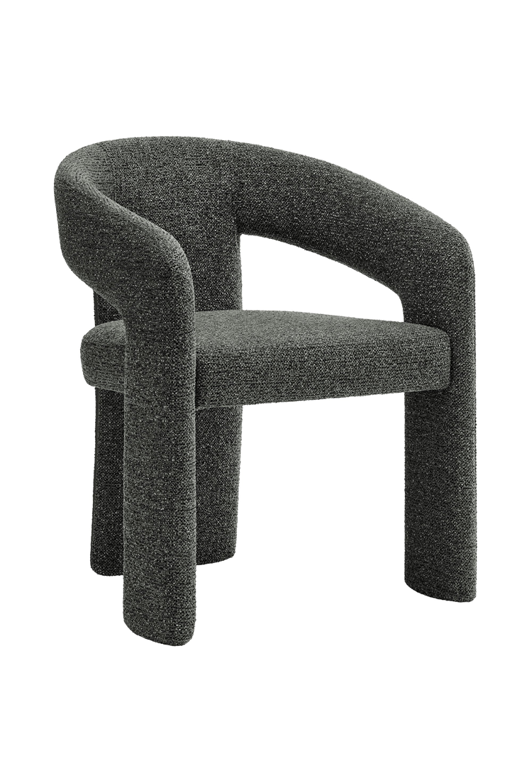 Elyssia Fabric Dining Chair,Anthracite