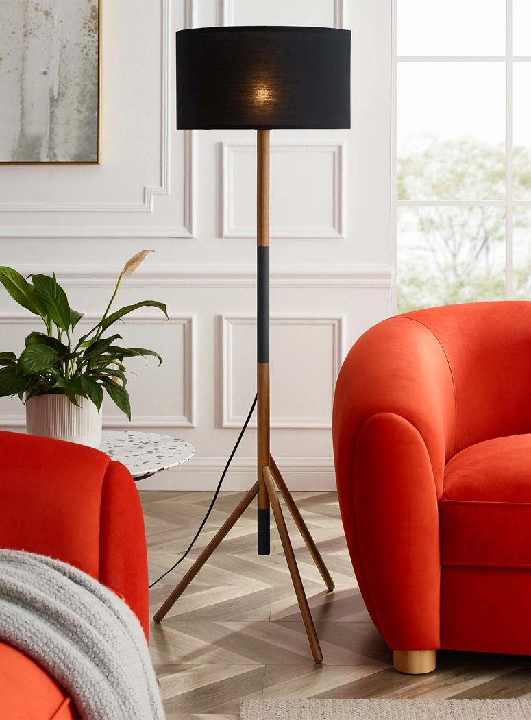 Odrinor Floor Lamp,Black