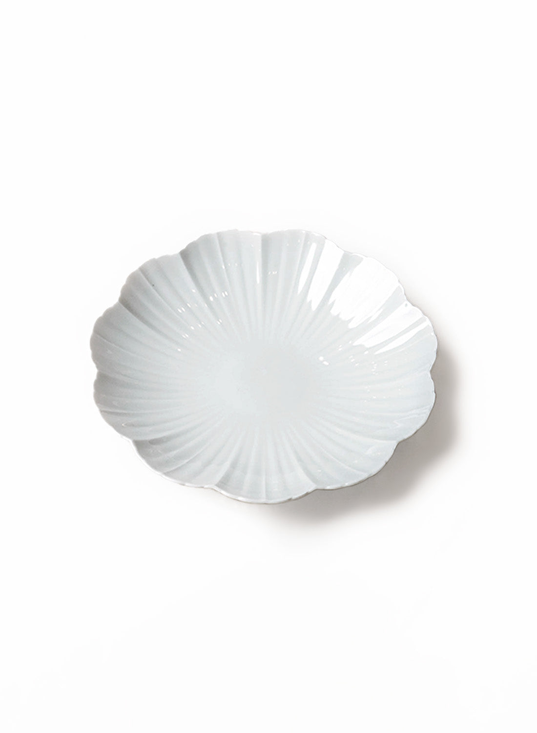 Mujagi Gloss Flower Shell Main Plate