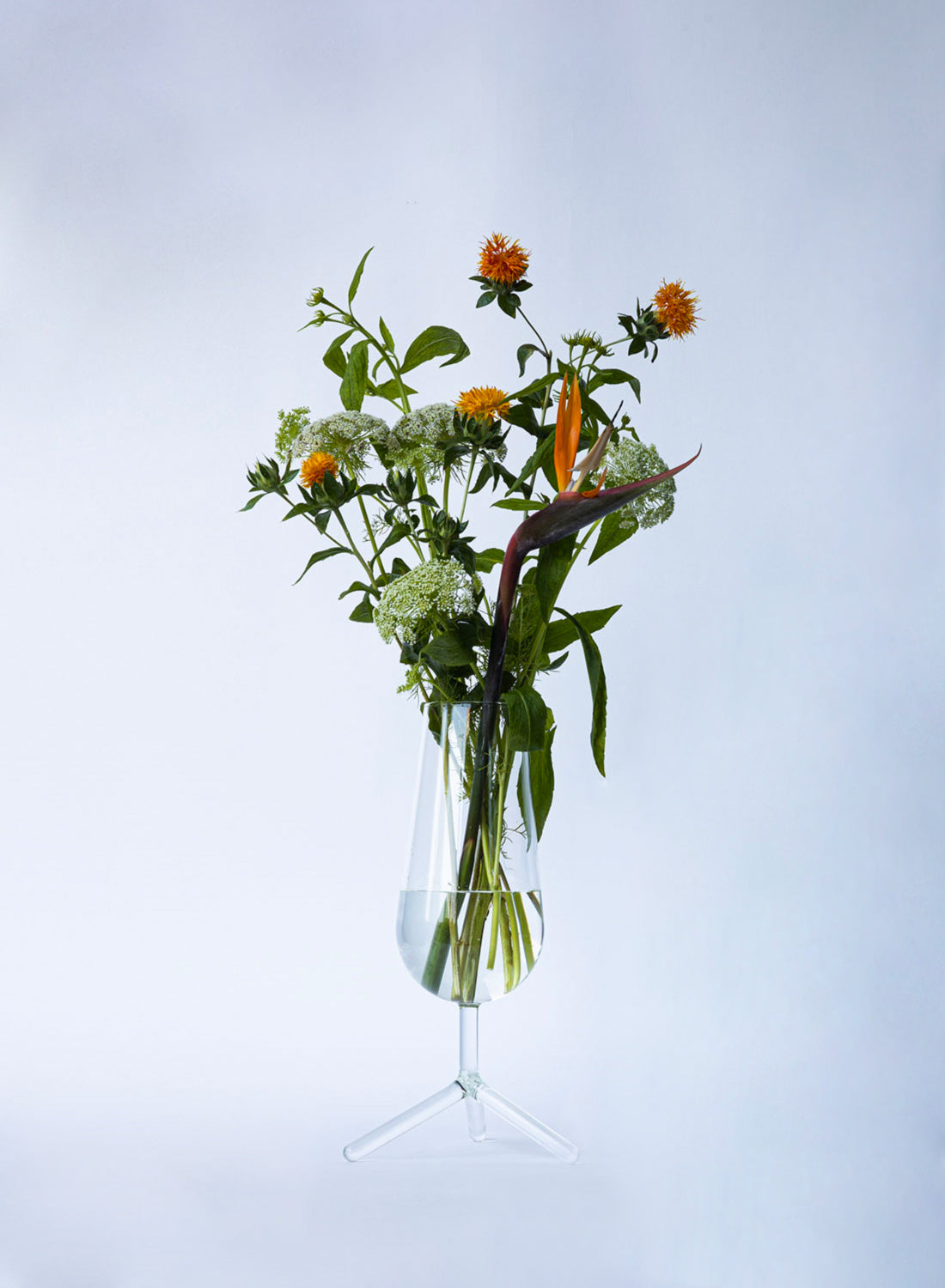 Maarten Baptist Tripod Clear Tall Vase