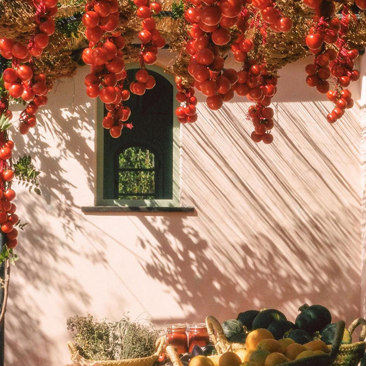 Flamingo Estate Roma Heirloom Tomato Room Spray