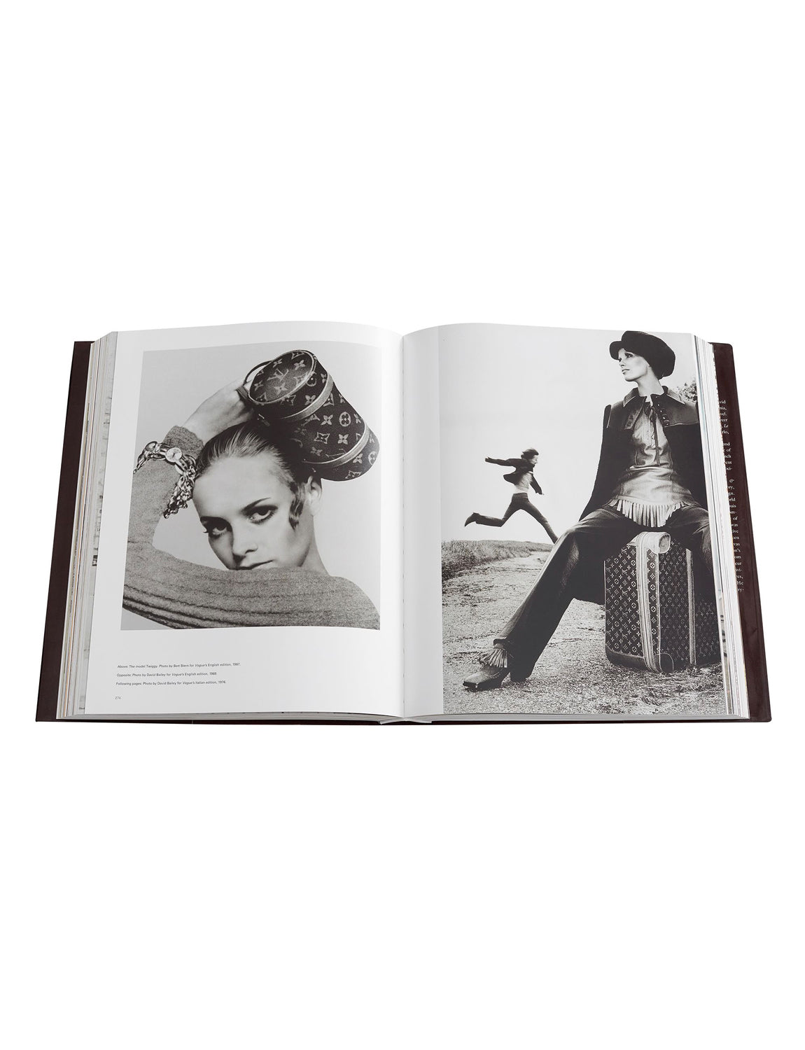 NEW Louis Vuitton : The Birth of Modern Luxury by Paul-Gerard Pasols Book