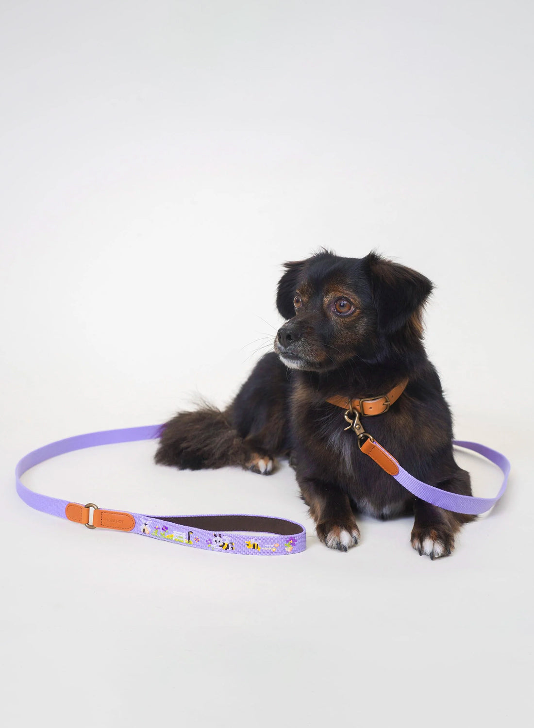 Adventure Dog Harness, Lilac