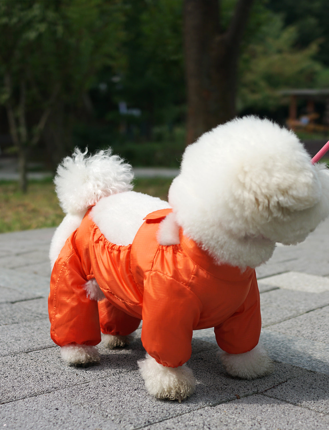 Walking Suit, orange