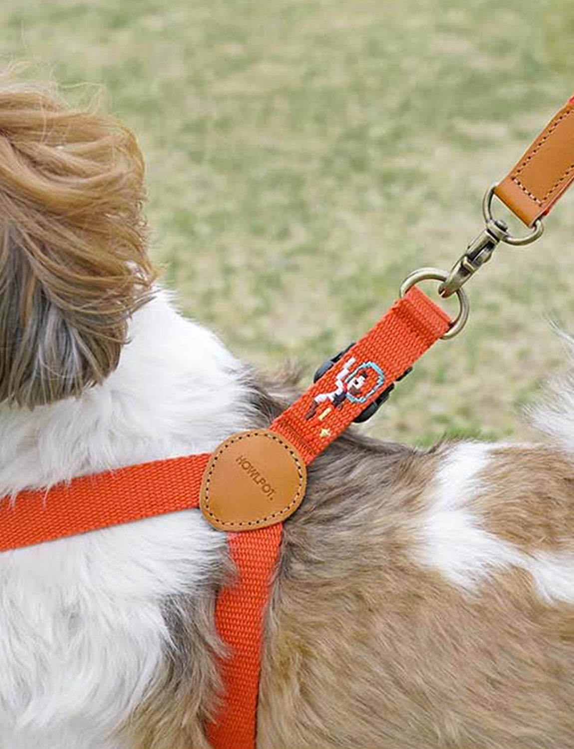 Adventure Dog Harness, Mars