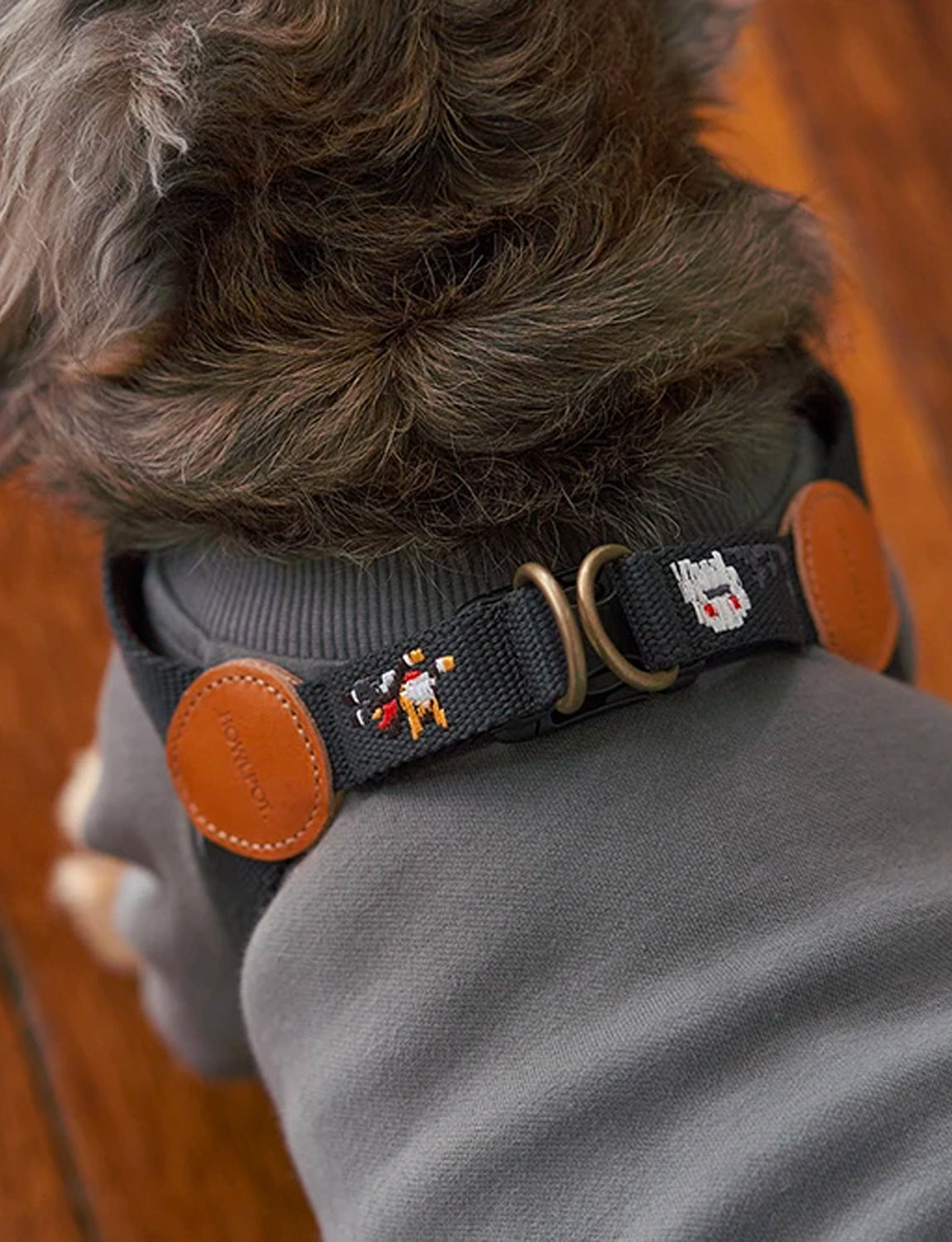 Adventure Dog Harness, gotham